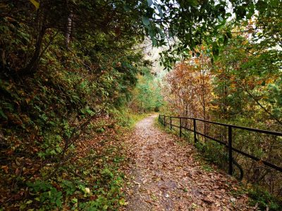 Dunga Gali Pipeline Trail
